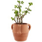 Pot de fleurs terre cuite Madam Stoltz Pot de fleurs terre cuite Madam Stoltz