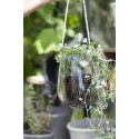 cache pot en verre transparent suspendu sur corde jute ib laursen