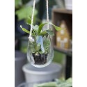 cache pot en verre transparent suspendu sur corde jute ib laursen