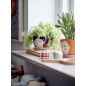 cache pot peint dessin visage soucoupe bloomingville carolin