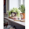cache pot peint dessin visage soucoupe bloomingville carolin