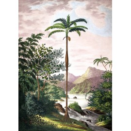 poster jungle tropicale the dybdahl jungle scenery