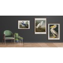 affiche retro oiseau pelican naturaliste audubon the dybdahl