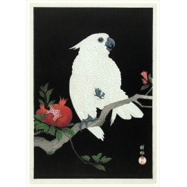 Affiche japonaise Ukiyo-E The Dybdahl Cockatoo Pomegranate