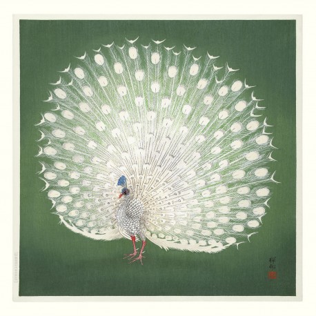 affiche dessin japonais ukiyo pan the dybdahl peacock on green