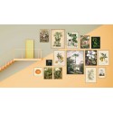 affiche planche botanique ancienne figuier the dybdahl ficus