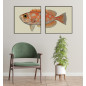 Affiche tête de poisson The Dybdahl Dotted Orange Fish Head Affiche tête de poisson The Dybdahl Dotted Orange Fish Head