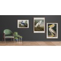 affiche peinture oiseau audubon heron the dybdahl snowy heron