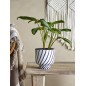 cache pot fantaisie noir blanc raye terre cuite bloomingville malena cache pot fantaisie noir blanc raye terre cuite bloomingville malena