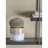 petit cache pot a cactus gres rose bloomingville aia