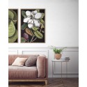 Affiche fleur peinture The Dybdahl Blooming Magnolia