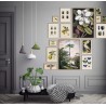 affiche fleur magnolia en fleurs peinture dessin the dybdahl