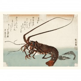 poster langouste estampe japonaise ukiyo-e the dybdahl