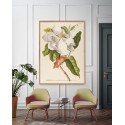 poster magnolia ancien the dybdahl