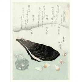 illustration japonaise Ukiyo-e huitre the dybdahl oyster