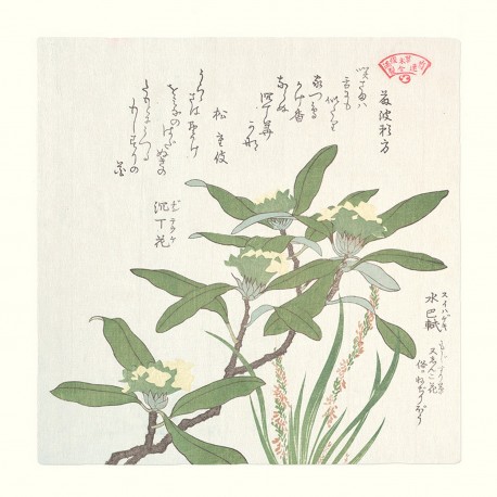 affiche japonaise plante verte the dybdahl green plant