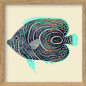 petit cadre illustration poisson the dybdahl petit cadre illustration poisson the dybdahl