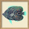 petit cadre illustration poisson the dybdahl