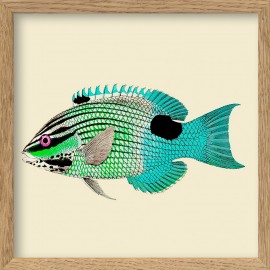 petit cadre poisson decoratif turquoise the dybdahl