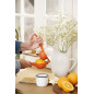 Presse-orange manuel aluminium IB Laursen