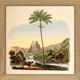 Petit tableau paysage exotique The Dybdahl Palm