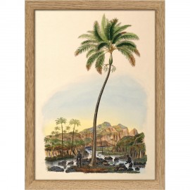 mini affiche cadre palmiers palmarum II