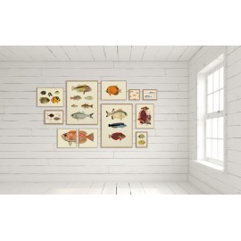 petit cadre illustration poisson the dybdahl