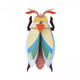 scarabee colore mural carton studio roof lunar beetle