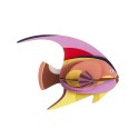 poisson decoratif mural colore carton sar tete noire studio roof