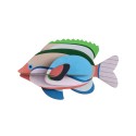 poisson multicolore decoratif mural studio roof fairy wrasse