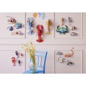 poisson multicolore decoratif mural studio roof fairy wrasse