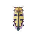 insecte decoration murale carton studio roof mango flower beetle