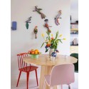 studio roof fiji paradise bird oiseau carton decoration murale