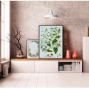 affiche botanique fleurs bleues the dybdahl blue and white flowers