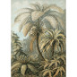 Affiche botanique fougères The Dybdahl Alsophila Affiche botanique fougères The Dybdahl Alsophila