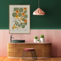 affiche fleurs vintage botanique capucine orange the dybdahl