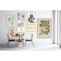 affiche fleurs vintage botanique capucine orange the dybdahl