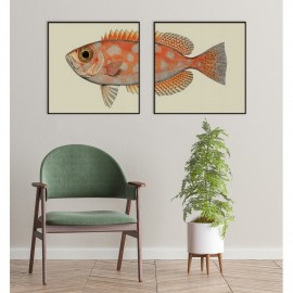 Affiche tête de poisson The Dybdalhl Spotted Orange Fich Head