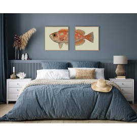 Affiche tête de poisson The Dybdalhl Spotted Orange Fich Head