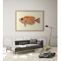 grande affiche poisson orange The Dybdahl Blotched Bigeye