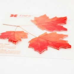 Appree Sticky Leaf Memo Large (Maple - Red)
