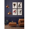 affiche oiseau dessin ancien le pardisier sifilet the dybdahl