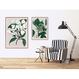 Affiche ancienne The Dybdahl Liriodendron Tulipifera