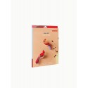 oiseaux decoratifs muraux carton rouge studio roof cardinals