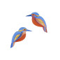 oiseaux decoratifs martin pecheurs studio roof kingfishers