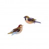Oiseaux décoratifs moineaux Studio Roof Sparrows set de 2