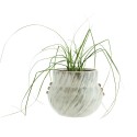 cache pot gres vert clair jade madam stoltz