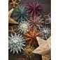 decoration de sapin papier couleur flocons etoiles madam stoltz decoration de sapin papier couleur flocons etoiles madam stoltz