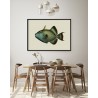 affiche poisson gachette baliste the dybdahl