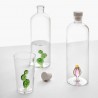 carafe bouteille cactus fleur rose ichendorf desert plant